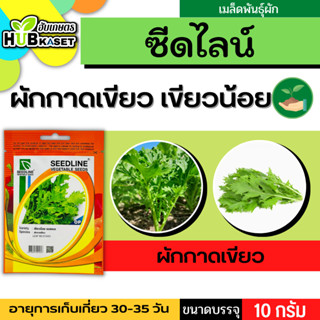 ซีดไลน์ 🇹🇭 ผักกาดเขียว เขียวน้อย SL ขนาดบรรจุประมาณ 10 กรัม อายุเก็บเกี่ยว 30-35 วัน