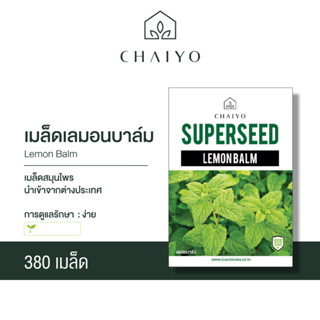 เมล็ด LEMON BALM เลมอนบาล์ม