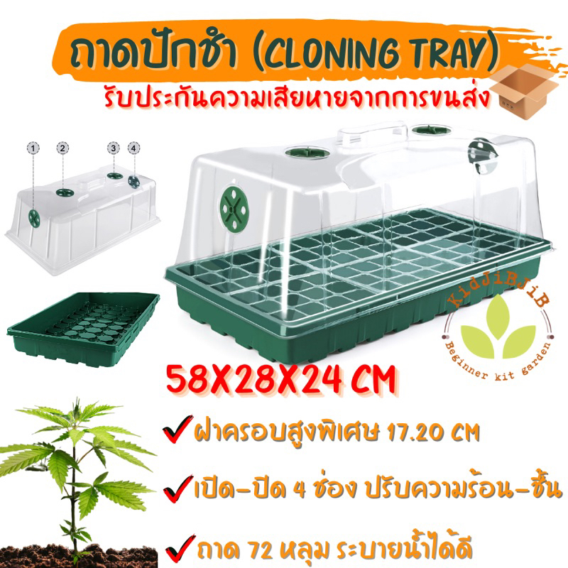 ถาด ปักชำ Cloning tray 72 cells ถาดเพาะขนาดใหญ่ กล่องเพาะเมล็ด เพาะกล้า ถาดปักชำกิ่ง พร้อมฝาบ่ม ควบแน่นต้นไม้ เพาะชำ