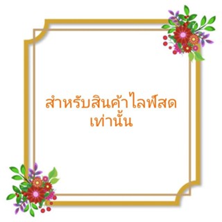 สินค้าไลฟ์สดเท่านั้น80,90,100