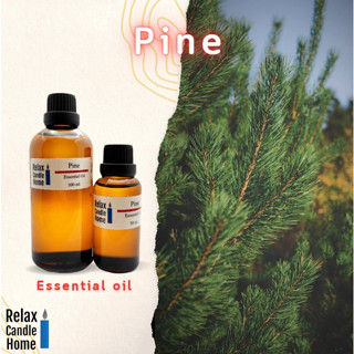 หัวน้ำหอมแท้ กลิ่น Pine Essential Oil เกรดพรีเมียม สำหรับเทียนเเละเครื่องหอม 30ml/100ml-