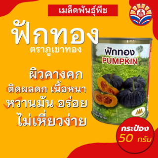 ส่งไว! เมล็ดฟักทอง ผิวคางคก เนื้อหนา ผลดก หวานมัน ตราภูเขาทอง ขนาด50กรัม