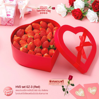 HVD set GZ-3 (Red) Strawberry