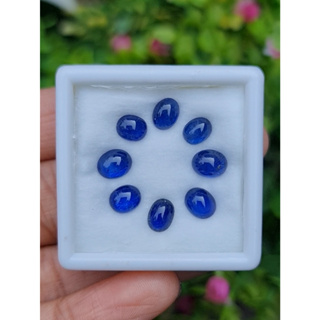 พลอย ไพลิน blue sapphire 8 เม็ด (pcs.) 8.76 กะรัต (Cts.)