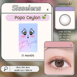 New 💜 Sisse lens รุ่น POPO CEYLON คอนแทคเลนส์