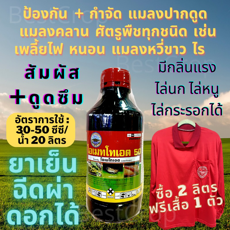 โอเมทโทเอต 50% SL omethoate สูตรเย็น กลิ่นเหม็น ไล่นก เพลี้ยไก่ฟ้า เพลี้ยไก่แจ้ ไร แมลงบั่ว หนอนแมลงวันทอง ด้วงหมัดผัก