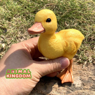 Animal Kingdom - โมเดลสัตว์ ลูกเป็ด เหลือง ขนาด 13.00 CM (จากสงขลา)