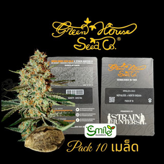 เมล็ดกัญชา Green House Seeds.Co - Himalaya Gold (Fem)