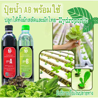 ปุ๋ยไฮโดรโปนิกส์ ปุ๋ยน้ำAB แพ๊คคู่ ขนาดทดลอง 250 ml. ปุ๋ยเอบี  ปุ๋ยผักสลัด ปุ๋ยบำรุงต้น สารละลายเอบี ผักโตดี