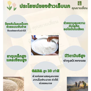 🌾ข้าวเล็บนก (ขนาด 1 กิโล) ข้าวเพื่อสุขภาพ 🔥ข้าวใหม่สีข้าวได้ทุกวัน 🔥 ออแกนิก100% จากเกษตรกรบ้านหน้าวัง จ.พัทลุง