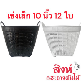 เข่งพลาสติกเล็ก 10 นิ้ว 12 ใบ