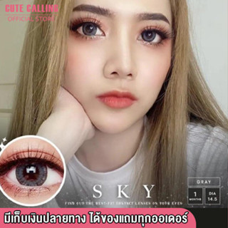 🔥โค้ด INCLZ55 ลด50% 🔥 เน้นขอบ ตาโต Sky Gray Lens