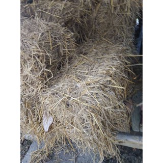 ฟางข้าว น้ำหนัก500กรัม