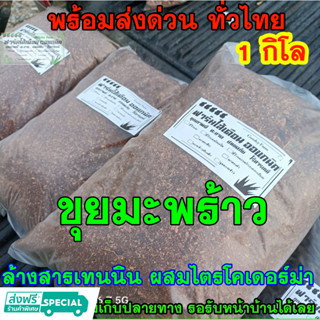 ขุยมะพร้าว ล้างสารเทนนิน 1 กิโลกรัม(ประมาณ5ลิตร) ผสมเชื้อไตรโครเดอร์ม่า ขุยมะพร้าวละเอียด ใช้ผสมดินปลูก