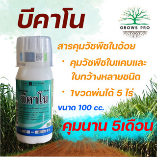 GrowsPro บีคาโน 100cc. สารอินดาซิแฟรม คุมหญ้าทั้งใบแคบและใบกว้างในไร่อ้อย