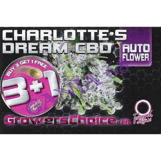 Charlottes Dream CBD Autoflower - ค่าย Growers Choice