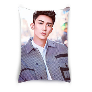หมอนสกรีน หมอนสกรีนรูป หมอนอิง สั่งทำ หมอนวาดการ์ตูน หมอนตามสั่ง หมอนรูปศิลปิน หมอนพิมพ์ภาพถ่าย หวงจิ่งอวี๋ Huang Jingyu