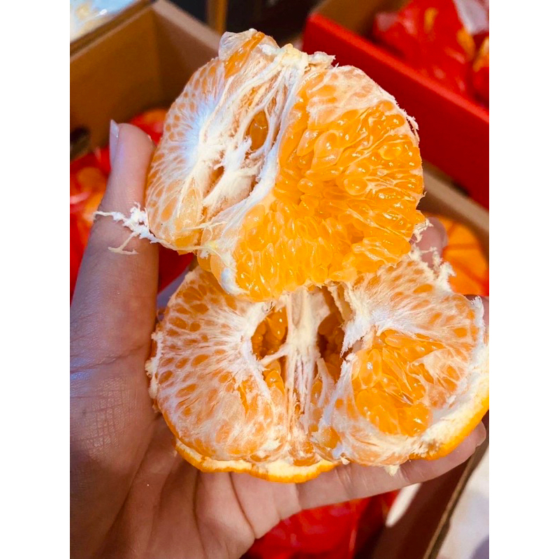ส้มจุก ส้มมงคล เกล็ดส้มใหญ่มาก ฉ่ำปากสุดๆ อร่อยพร้อมส่ง️(ยกลัง4กิโลกรัม ...
