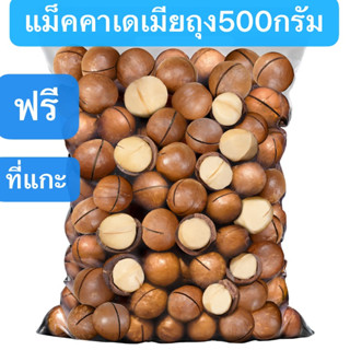 แม็คคาเดเมียอบ 500กรัม (Macadamia) พร้อมทาน *ฟรีที่แกะ*แมคคาเดเมียอบ แมคคาเดเมียอบธรรมชาติ ถั่วแมคคาเดเมีย ถั่ว