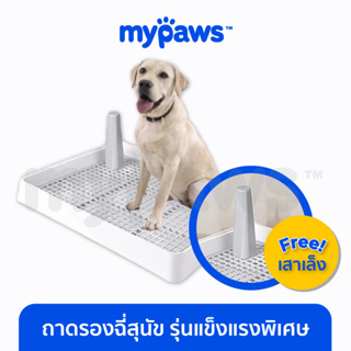 [🔥MYPAWS100] My Paws ถาดรองฉี่สุนัข รุ่นแข็งแรงพิเศษ 2 ชั้น ฟรี!! เสาเล็ง (G) ห้องน้ำสุนัข Dog Toilet tray