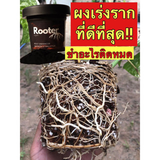 น้ำยาเร่งรากRooter(ชนิดผงดำ)ปักชำติดทุกกิ่งรับประกันของแท้เข้มข้นเห็นผลปลอดภัย100%