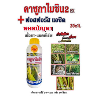 คาซูกาไมซิน โกลด์ 2 พลังบวก ป้องกันกำจัดโรคเชื้อรา เชื้อแบคทีเรีย
