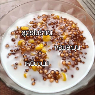 ถูกสุดโล 155฿‼️ สาคูต้นพัทลุงแท้100% (รับประกันเม็ดสวย) เจ้าดังในตำนาน เกรดพรีเมี่ยม รีวิวยืนยันความปัง✅