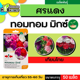 ศรแดง 🇹🇭 เทียนไทย ทอมทอม มิกซ์ ขนาดบรรจุประมาณ 50 เมล็ด อายุเก็บเกี่ยว 55-60 วัน