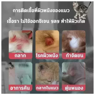 สเปรย์รักษาโรคเรื้อน รักษาโรคผิวหนังสัตว์เลี้ยง ยารักษาเชื้อราสุนัขและแมว สเปรย์รักษาเชื้อราแมว น้ำยารักษาเชื้อราแมว