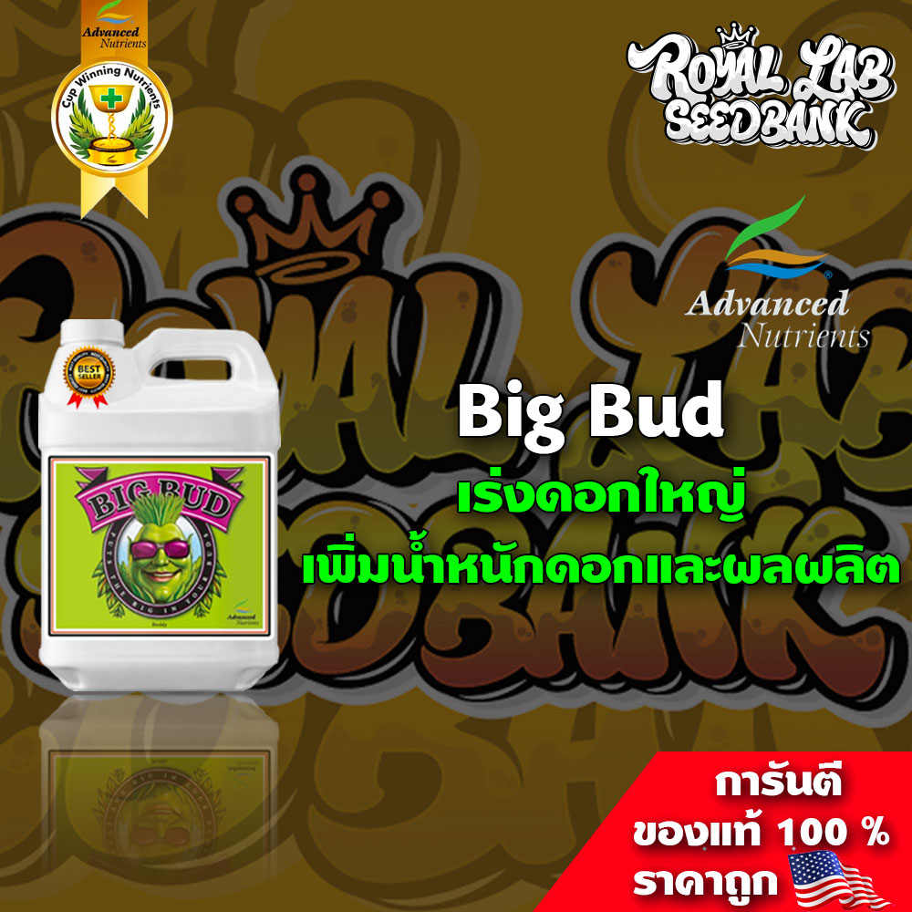 Big Bud ปุ๋ยทําดอก ปุ๋ยเร่งดอกใหญ่ เพิ่มน้ำหนักดอกและผลผลิต ขนาด 50/100/250 ML ปุ๋ยนอก ของแท้100%