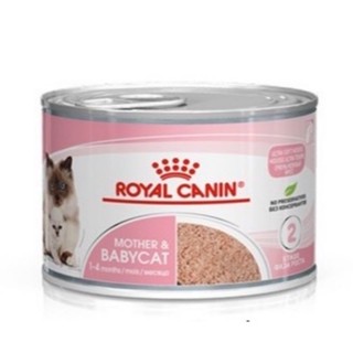 (6กระป๋อง) Royal Canin Mother &amp; Baby Cat  (195 กรัม/กระป๋อง)