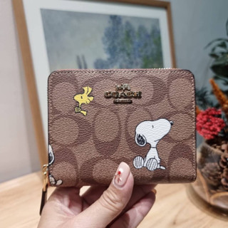 COACH CE704 COACH × PEANUTS SMALL ZIP AROUND