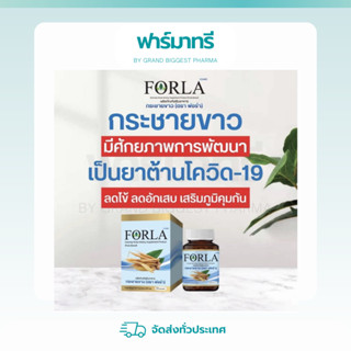 FORLA KRACHAI กระชายขาว ฟอร่า ของแท้100% | พร้อมส่ง