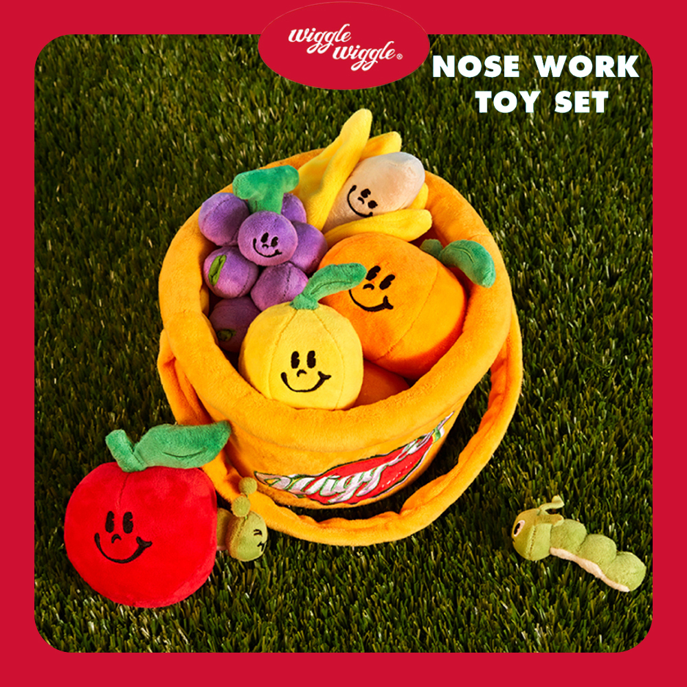 Wiggle Wiggle Nosework Toy - Basket Setcategory เซตของเล่นตะกร้าผลไม้สำหรับสัตว์เลี้ยง นำเข้าจากเกาหลี  