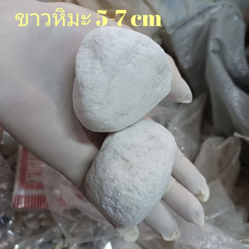 หินดำเงาบาหลี คัดพิเศษ หินโรยหน้ากระถาง หินตู้ปลา หินแคคตัส หินแม่น้ำ thumbnail 3