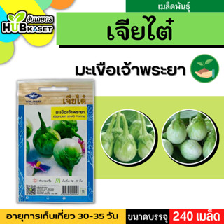 เจียไต๋ 🇹🇭 มะเขือเจ้าพระยา ขนาดบรรจุประมาณ 240 เมล็ด อายุเก็บเกี่ยว 30-35 วัน