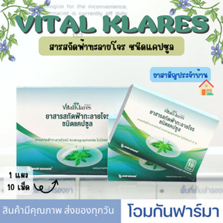 ฟ้าทะลายโจร VITALKLARES ANDROGRAPHIS สารสกัดฟ้าทะลายโจร ชนิดแคปซูล ตรา ไวทัลแคลร์ 10 แผง แก้ไข้ บรรเทาอาการไอ แก้เจ็บคอ