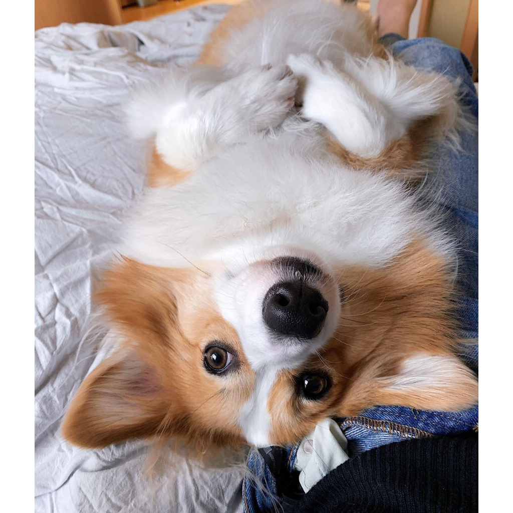 3:4 Item 3:4 Item 3:4 Item 1