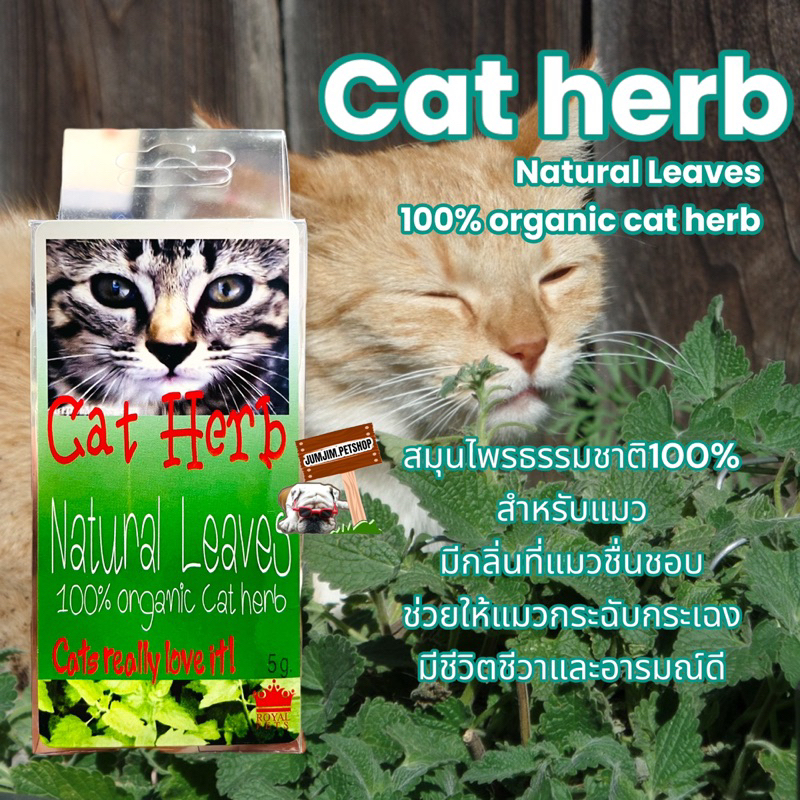 Cat​ Herb Natural​ leaves แคทนิปผง​ ออแกนิค​ 100% สมุนไพร​จากธรรมชาติ​สำหรับแมว​