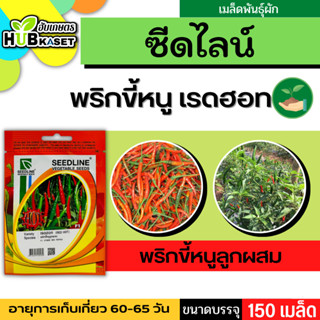 ซีดไลน์ 🇹🇭 พริกขี้หนูลูกผสม เรดฮอท ขนาดบรรจุประมาณ 150 เมล็ด อายุเก็บเกี่ยว 60-65 วัน