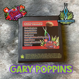 เมล็ดกัญชา Exotic Genetix Gary Poppins Fem Cannabis Seeds (Pack of 6)