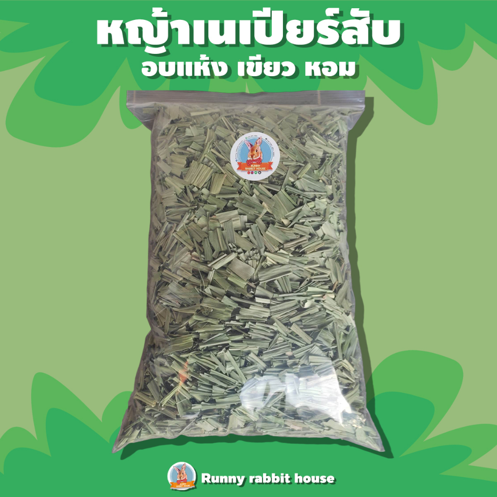 หญ้าเนเปียเขียวสับอบแห้ง บรรจุถุงซิปล็อค ธรรมชาติ 100% สำหรับสัตว์ฟันแทะ กระต่าย แพรี่ด็อก ชินชิล่า แกสบี้