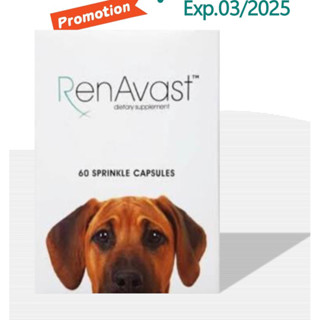 RenAvast dog 1กล่อง60 capsules (มีแบ่งขาย)เรนอะวาสท์อาหารเสริมบำรุงไตสำหรับสุนัข