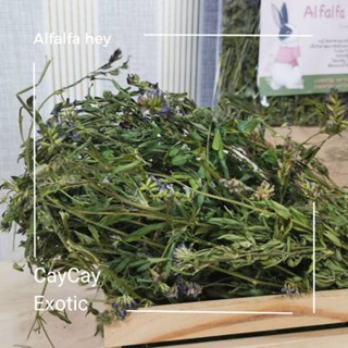 Caycay Alfalfa Hay หญ้าอัลฟาฟ่ารุ่นดอกเยอะมากพิเศษ