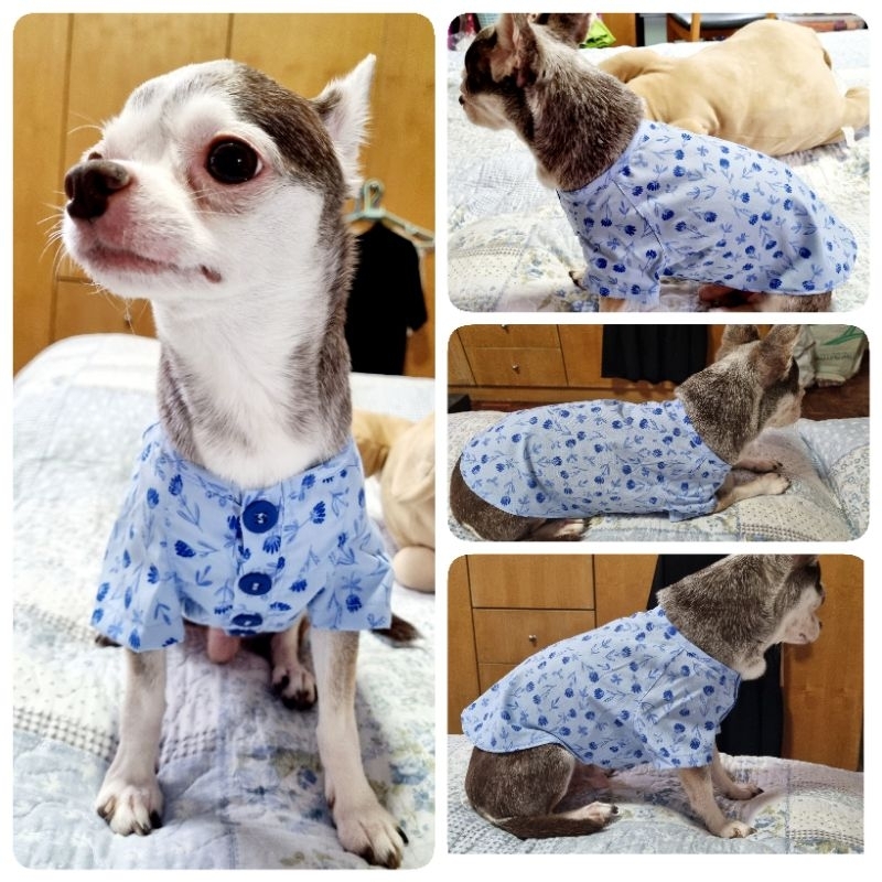 เสื้อเชิ้ตคอกลม เสื้อหมา เสื้อสุนัขตัวเล็ก Size 1-6