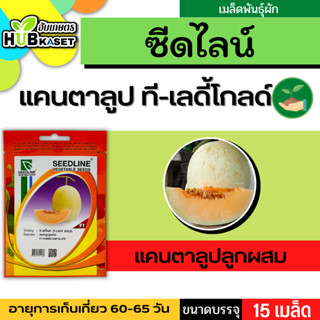 ซีดไลน์ 🇹🇭 แคนตาลูป ที-เลดี้โกลด์ ขนาดบรรจุประมาณ 15 เมล็ด อายุเก็บเกี่ยว 60-65 วัน