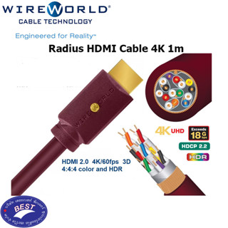 Wireworld Radius HDMI V2.0 4K HDR 1m