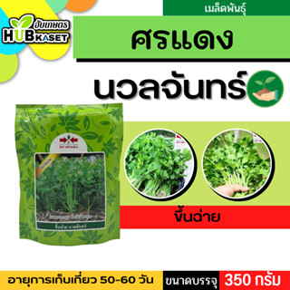 ศรแดง 🇹🇭 ขึ้นฉ่าย นวลจันทร์ ขนาดบรรจุ 350 กรัม อายุเก็บเกี่ยว 50-60 วัน