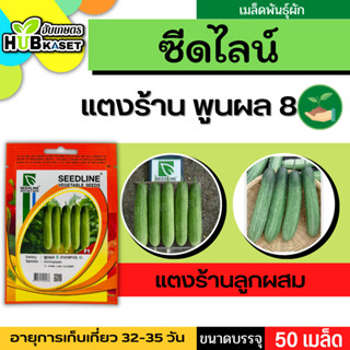 ซีดไลน์ 🇹🇭 แตงร้านลูกผสม พูนผล 8 ขนาดบรรจุประมาณ 50 เมล็ด อายุเก็บเกี่ยว 32-35 วัน