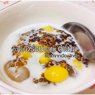 ถูกสุดโล 155฿‼️ สาคูต้นพัทลุงแท้100% (รับประกันเม็ดสวย) เจ้าดังในตำนาน เกรดพรีเมี่ยม รีวิวยืนยันความปัง✅